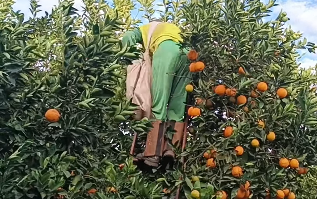 Captura de tela 2024-07-29 141545.png